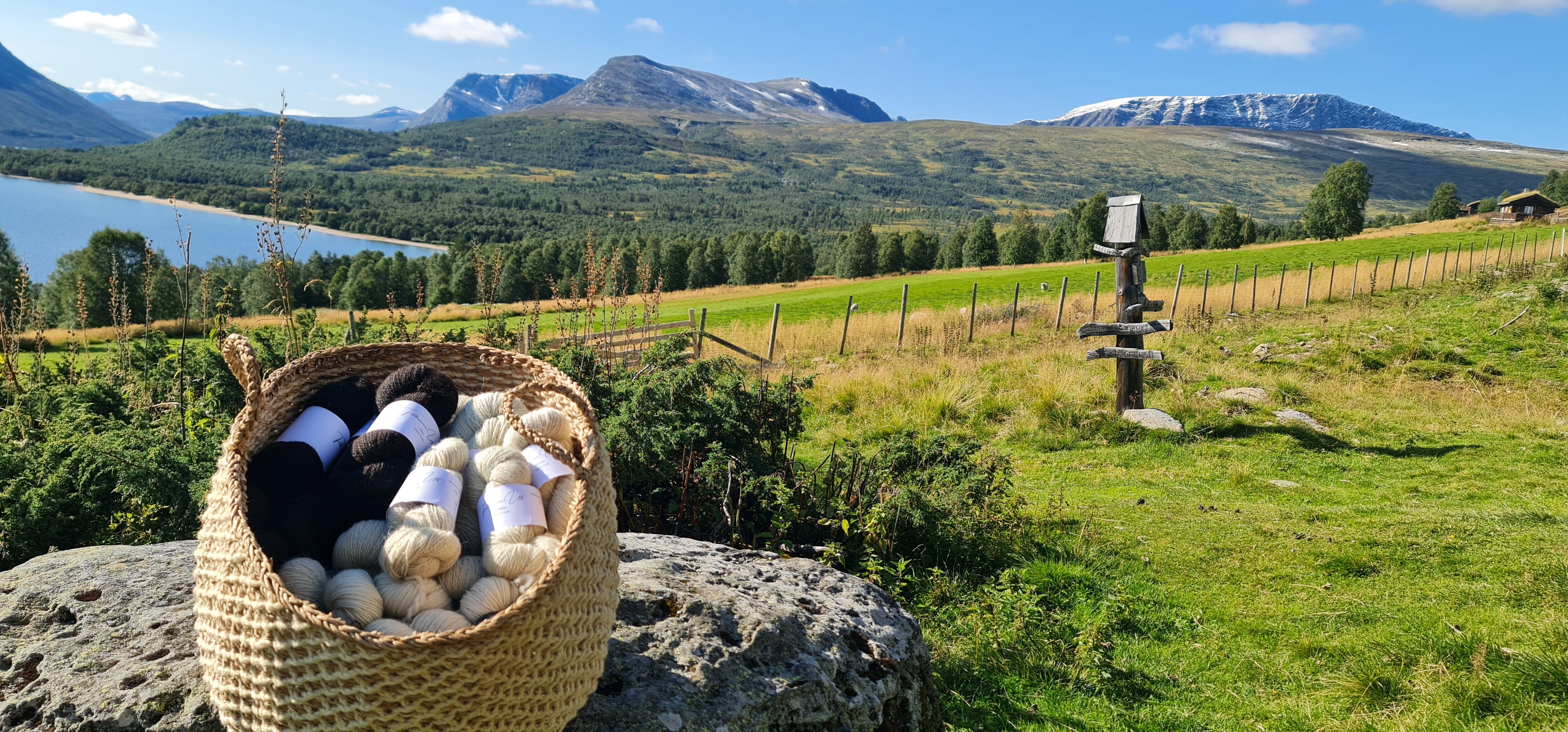 Garnkurv fra Trollheimen Ull med utsikt til Blåhøa og Rauøra.