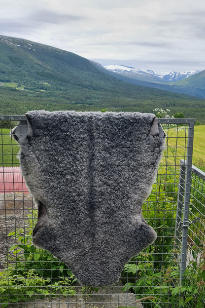 Saueskinn fra pelssau
